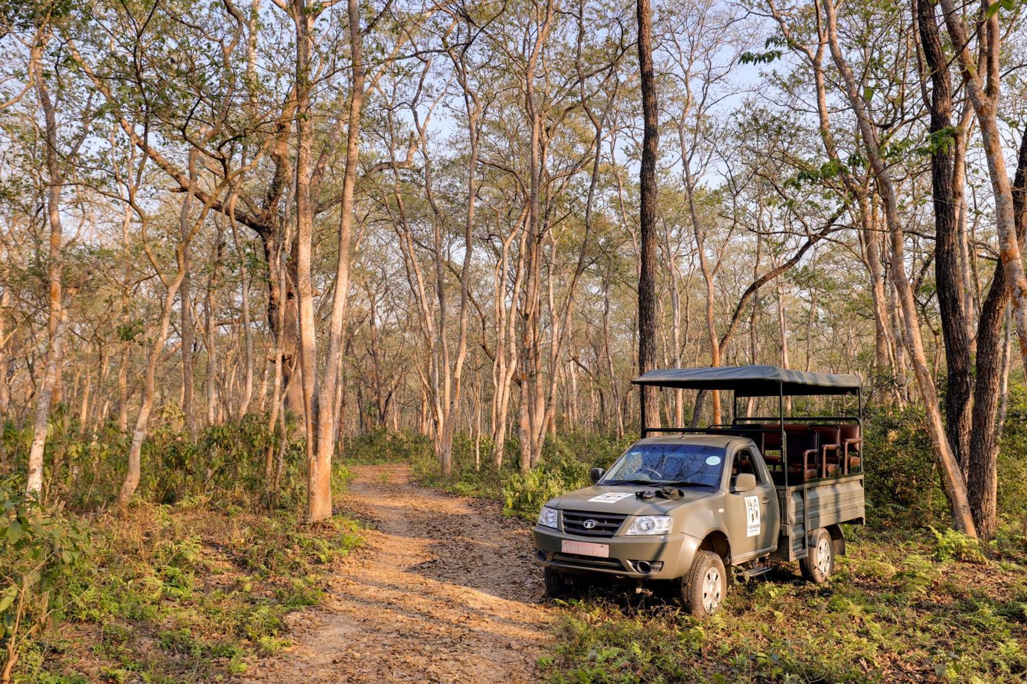 Tigerland Safari - A Lemon Tree Resort, Chitwan, Nepal Patlahara Kültér fotó